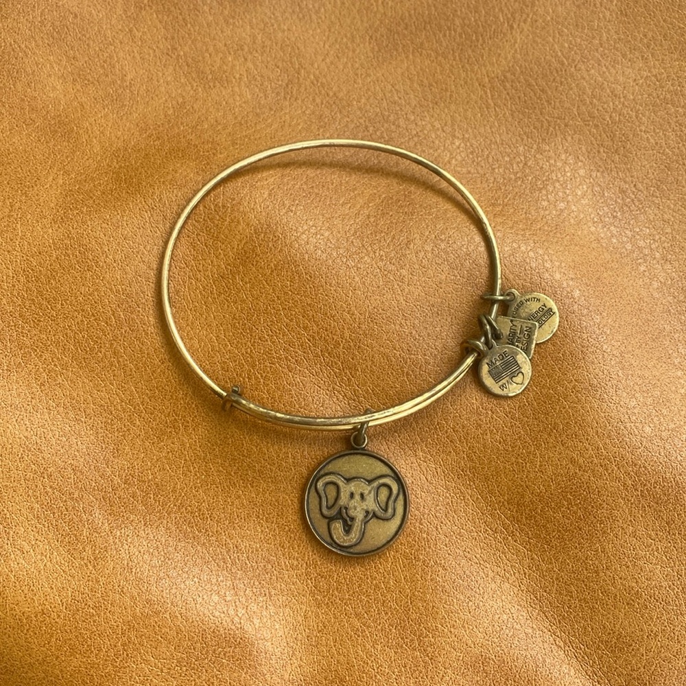 Elephant Alex and Ani